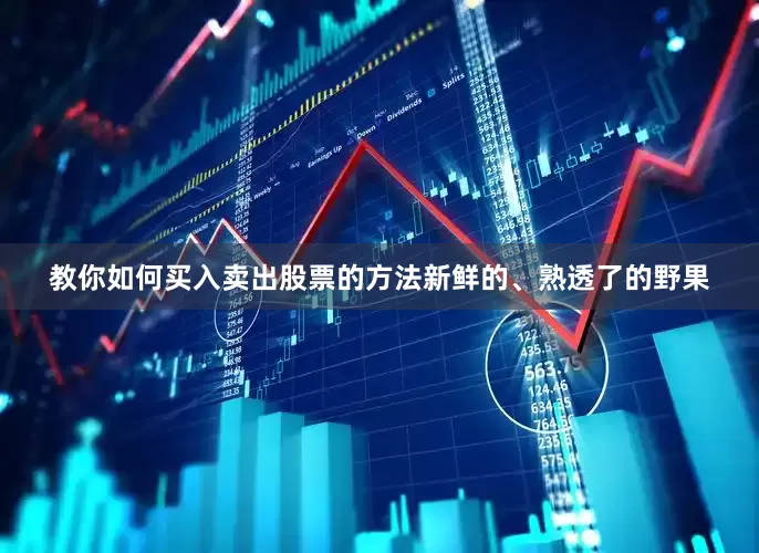 教你如何买入卖出股票的方法新鲜的、熟透了的野果