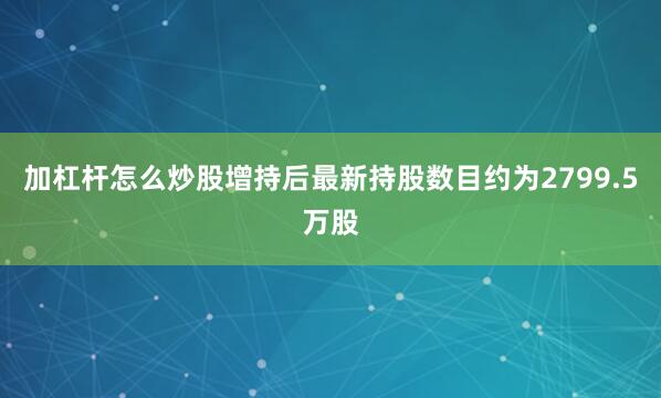 加杠杆怎么炒股增持后最新持股数目约为2799.5万股