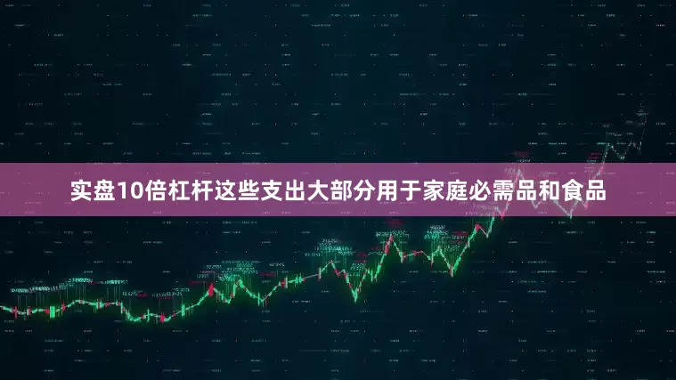 实盘10倍杠杆这些支出大部分用于家庭必需品和食品