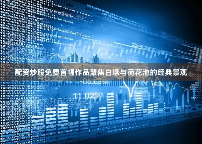 配资炒股免费首幅作品聚焦白塔与荷花池的经典景观