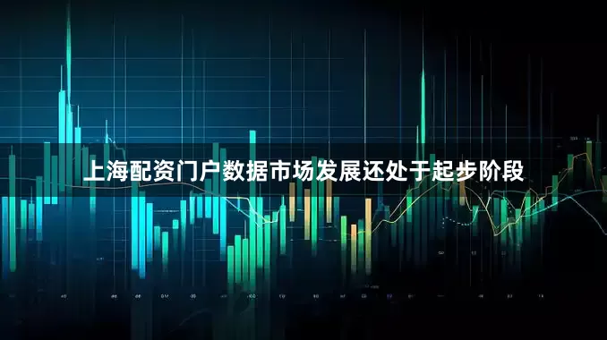 上海配资门户数据市场发展还处于起步阶段