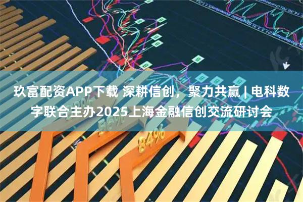 玖富配资APP下载 深耕信创，聚力共赢 | 电科数字联合主办2025上海金融信创交流研讨会
