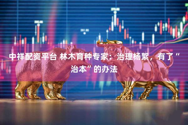 中祥配资平台 林木育种专家：治理杨絮，有了“治本”的办法