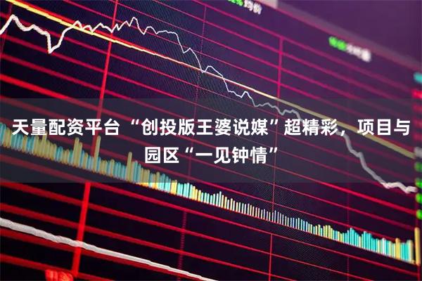 天量配资平台 “创投版王婆说媒”超精彩，项目与园区“一见钟情”
